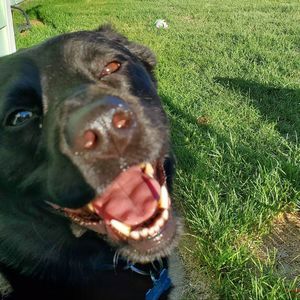 Meet your Posher, Caroline